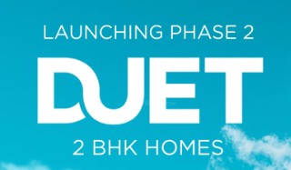 Duet sector logo